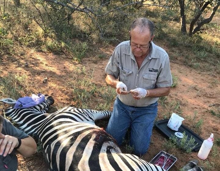 Dr Rogers, Shimongwe Vet Experience