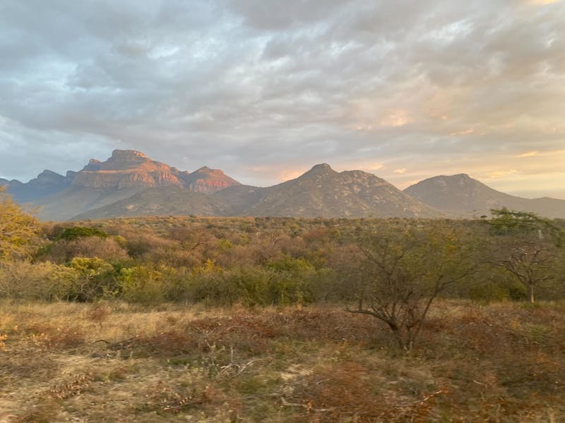 Anthony Schmiedeler: landscape