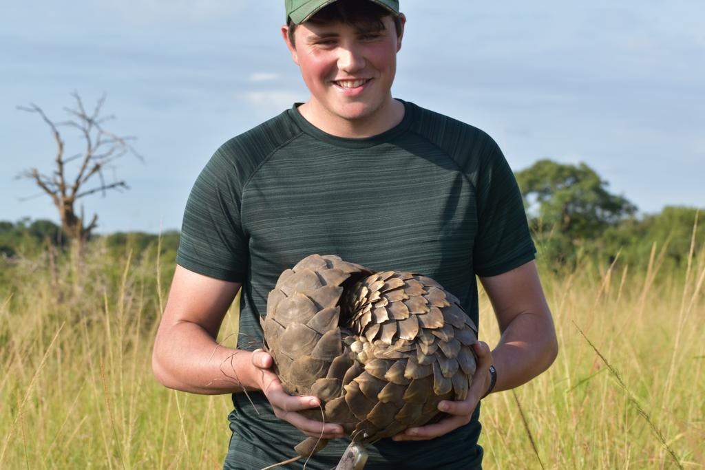 Sam Thain: holding a pangolin