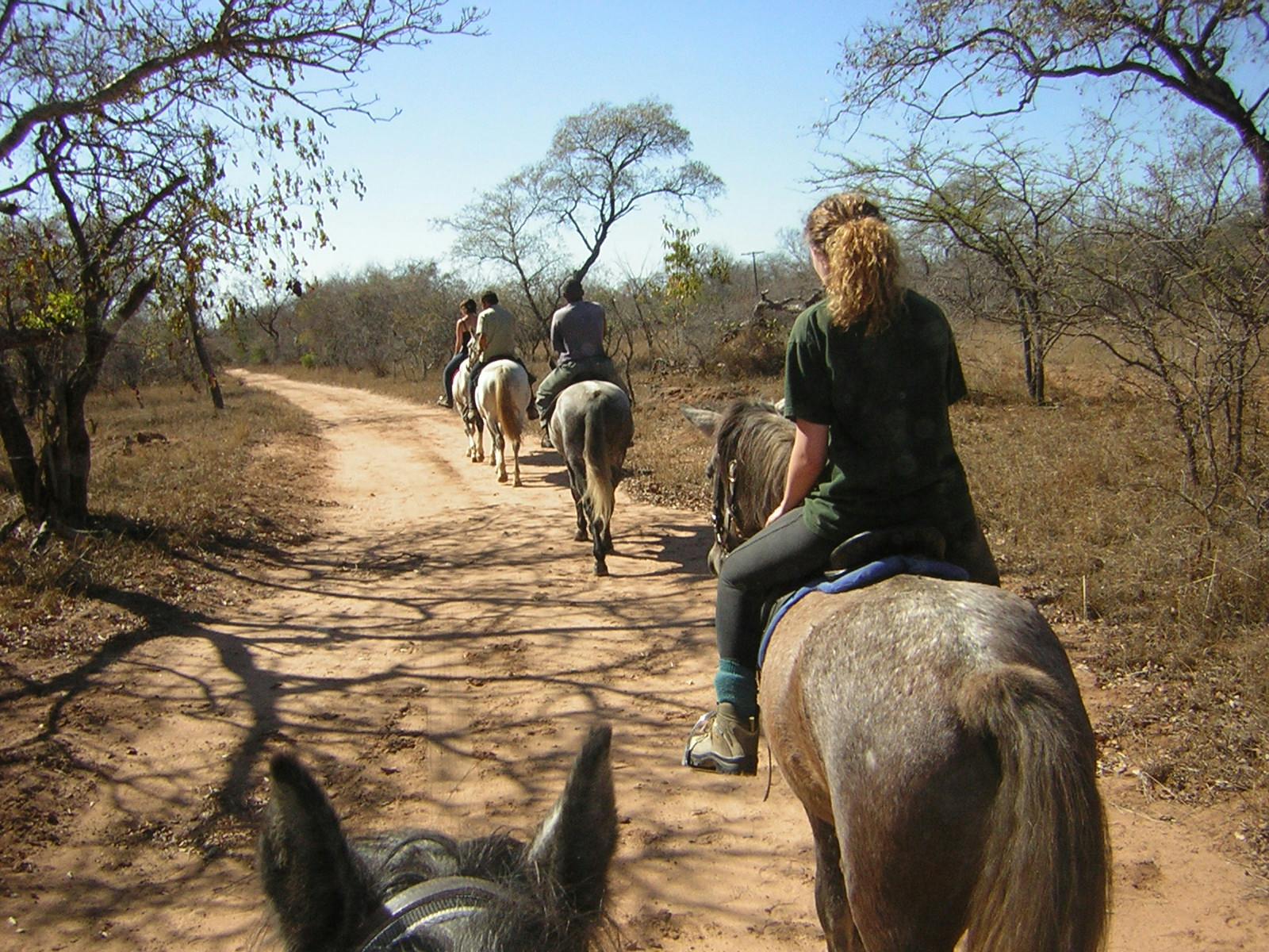 ACE volunteers riding on the Hanchi Conservation Experience