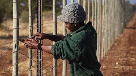 Moloko: fence repairing