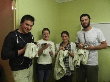 Veterinary work, holding puppies in a clinic