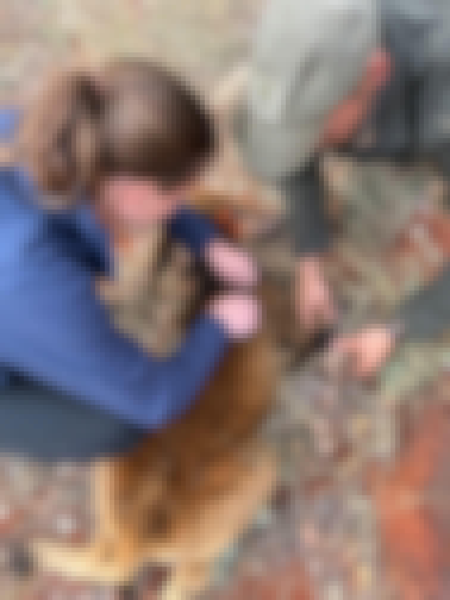 Chloe Fairston: veterinary work in the field