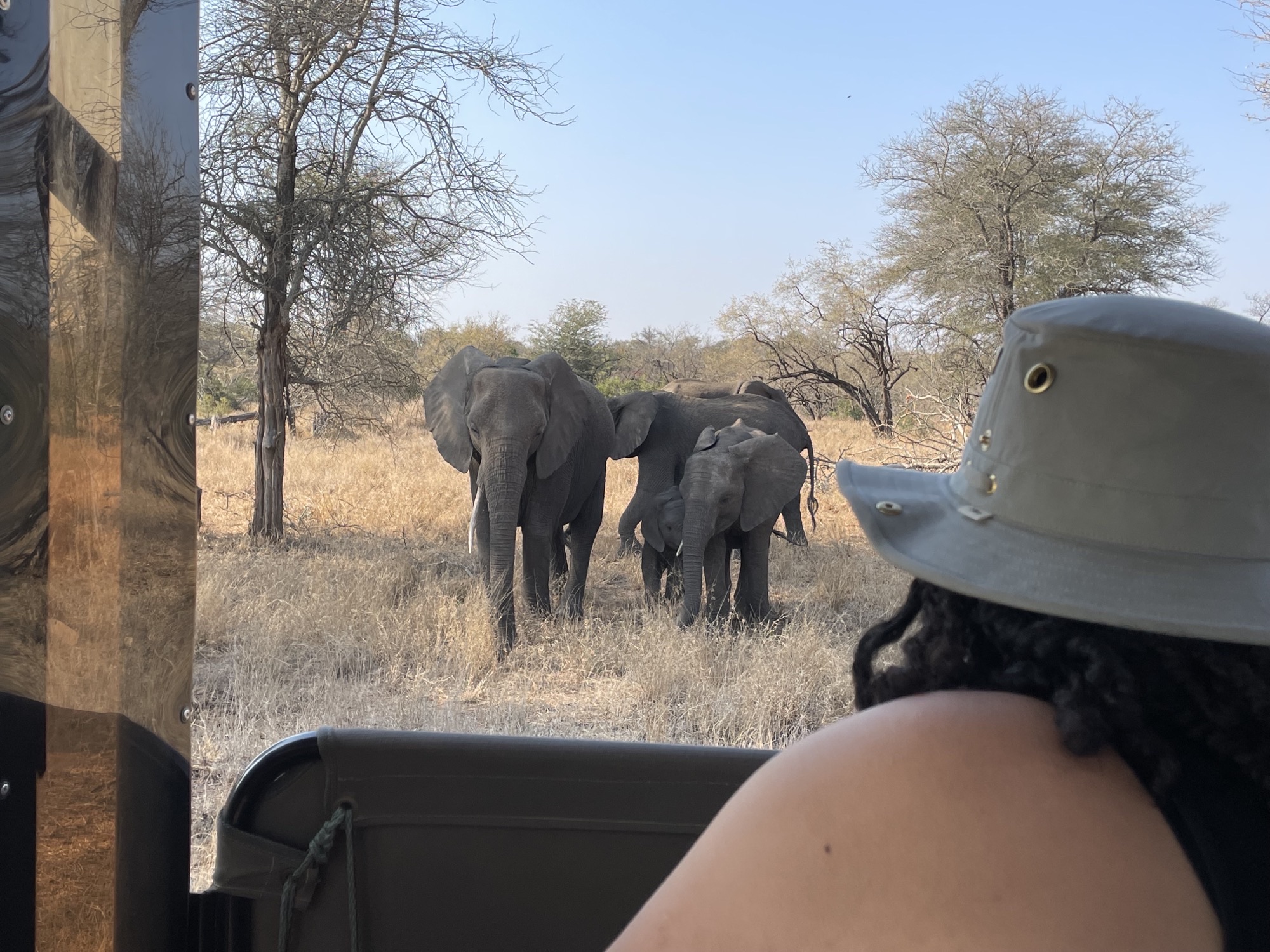 Liam Corcoran and Emily Munroe: viewing elephants