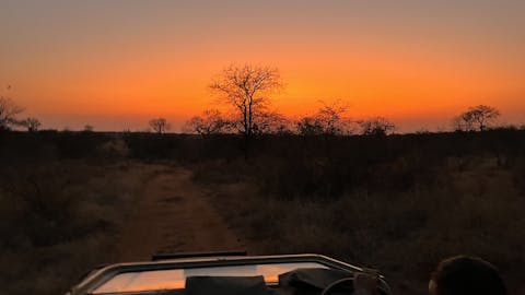 Liam Corcoran and Emily Munroe: sunset