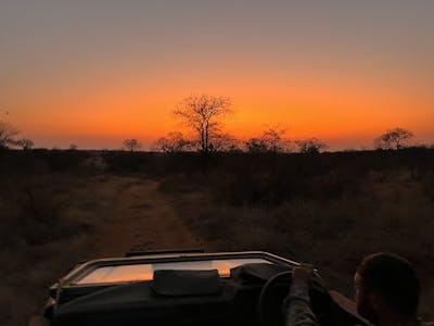 Liam Corcoran and Emily Munroe: sunset