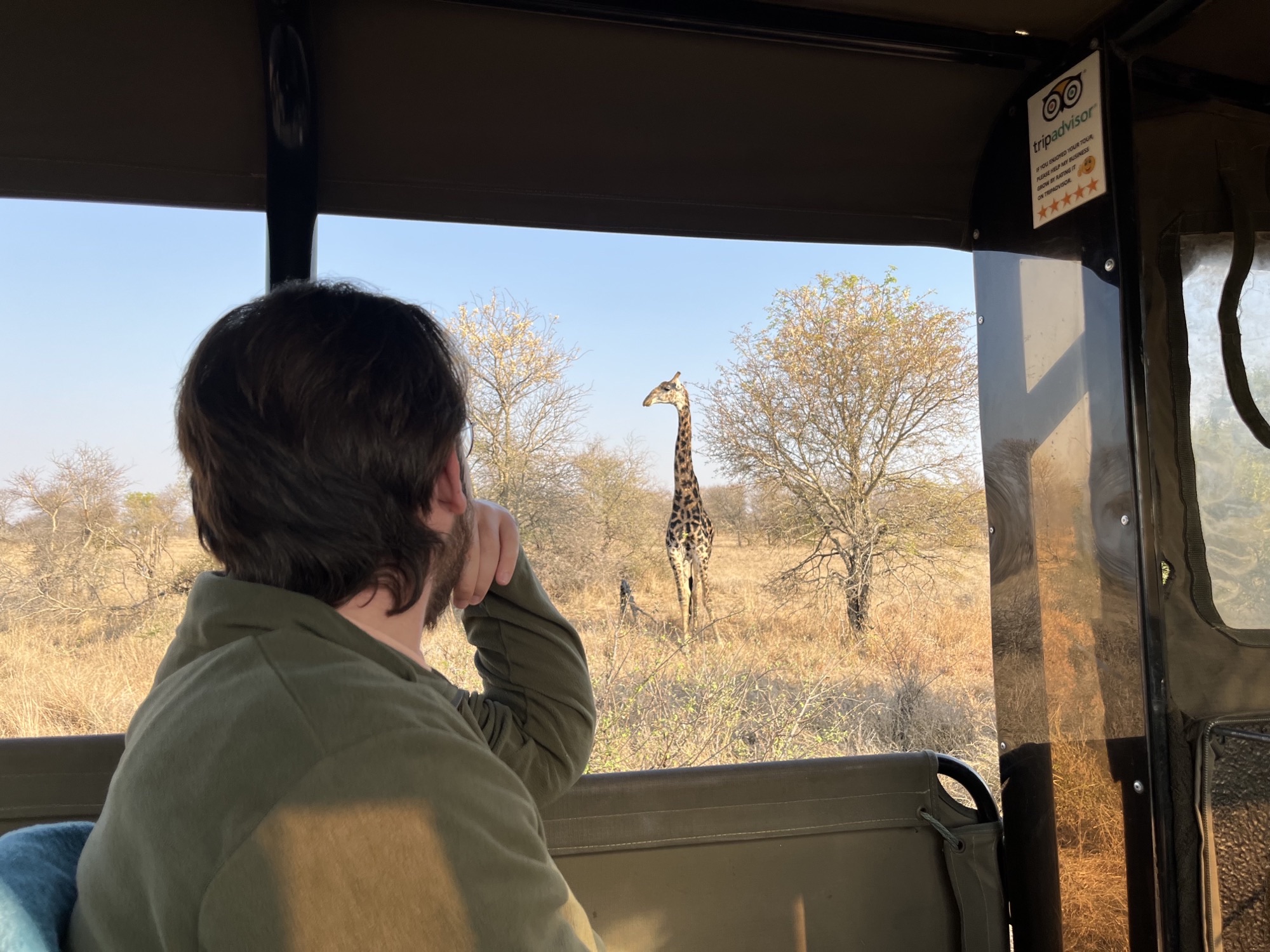 Liam Corcoran and Emily Munroe: viewing a giraffe from the vehicle