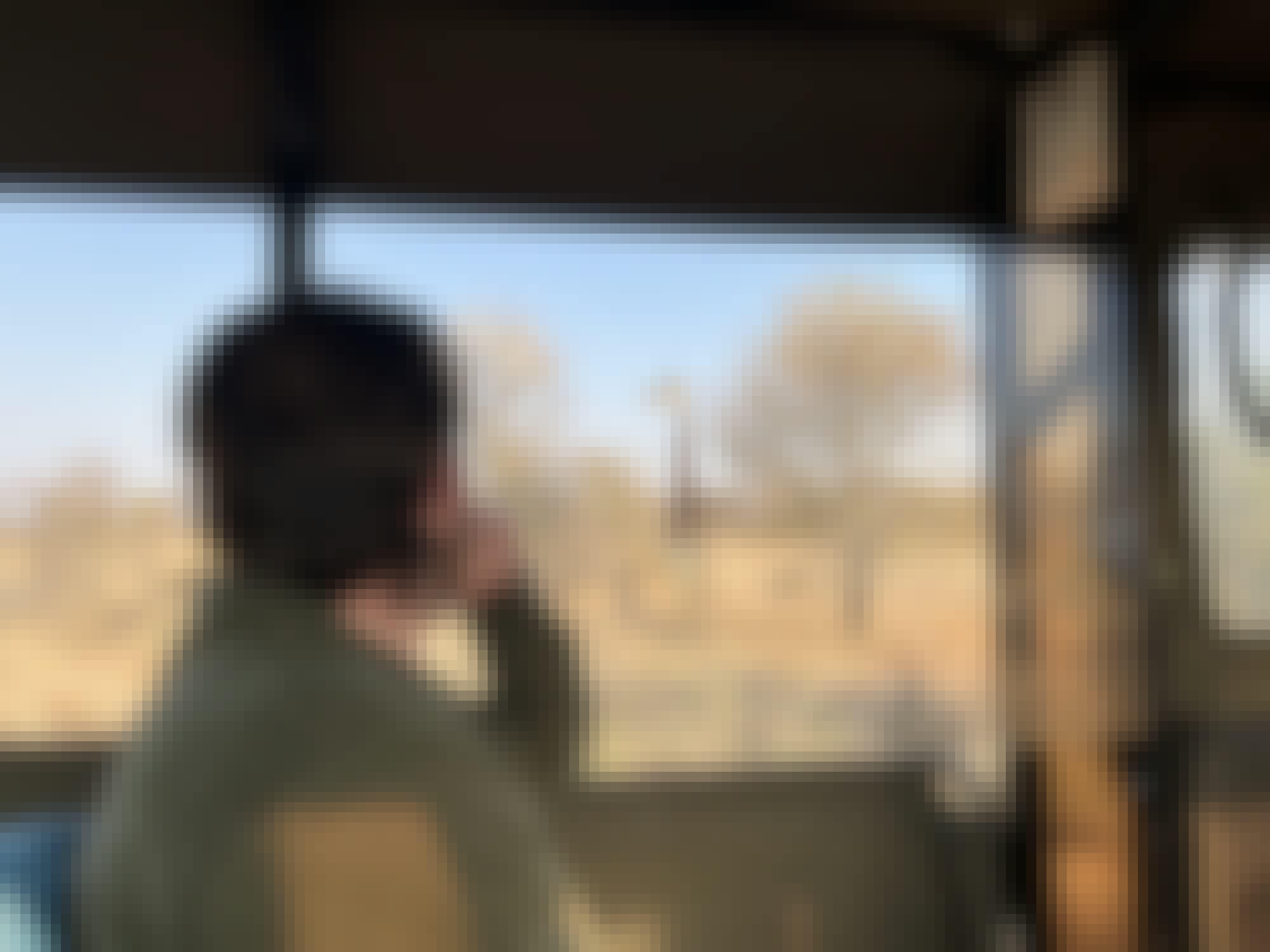 Liam Corcoran and Emily Munroe: viewing a giraffe from the vehicle