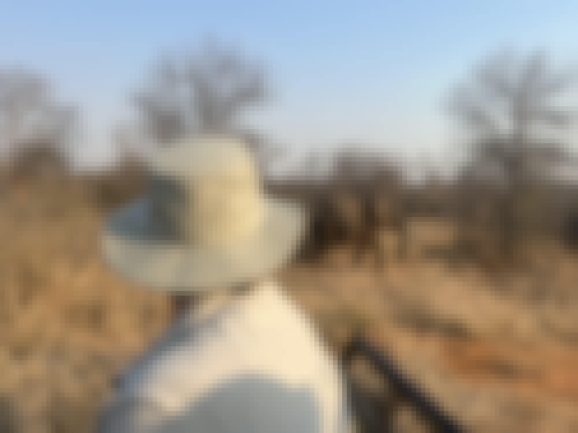 Liam Corcoran and Emily Munroe: viewing elephants from the vehicle