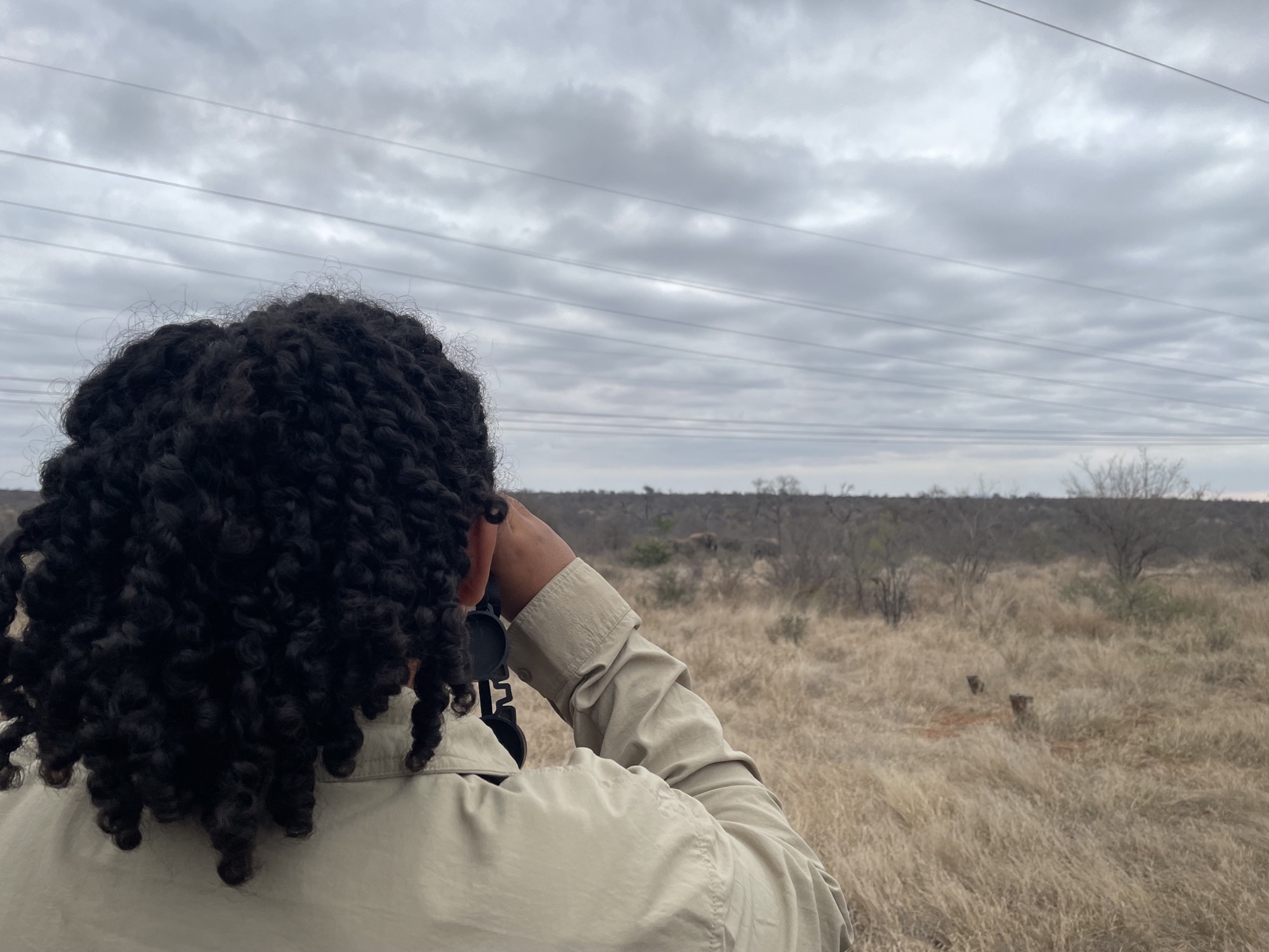 Liam Corcoran and Emily Munroe: viewing elephants in the distance from the vehicle