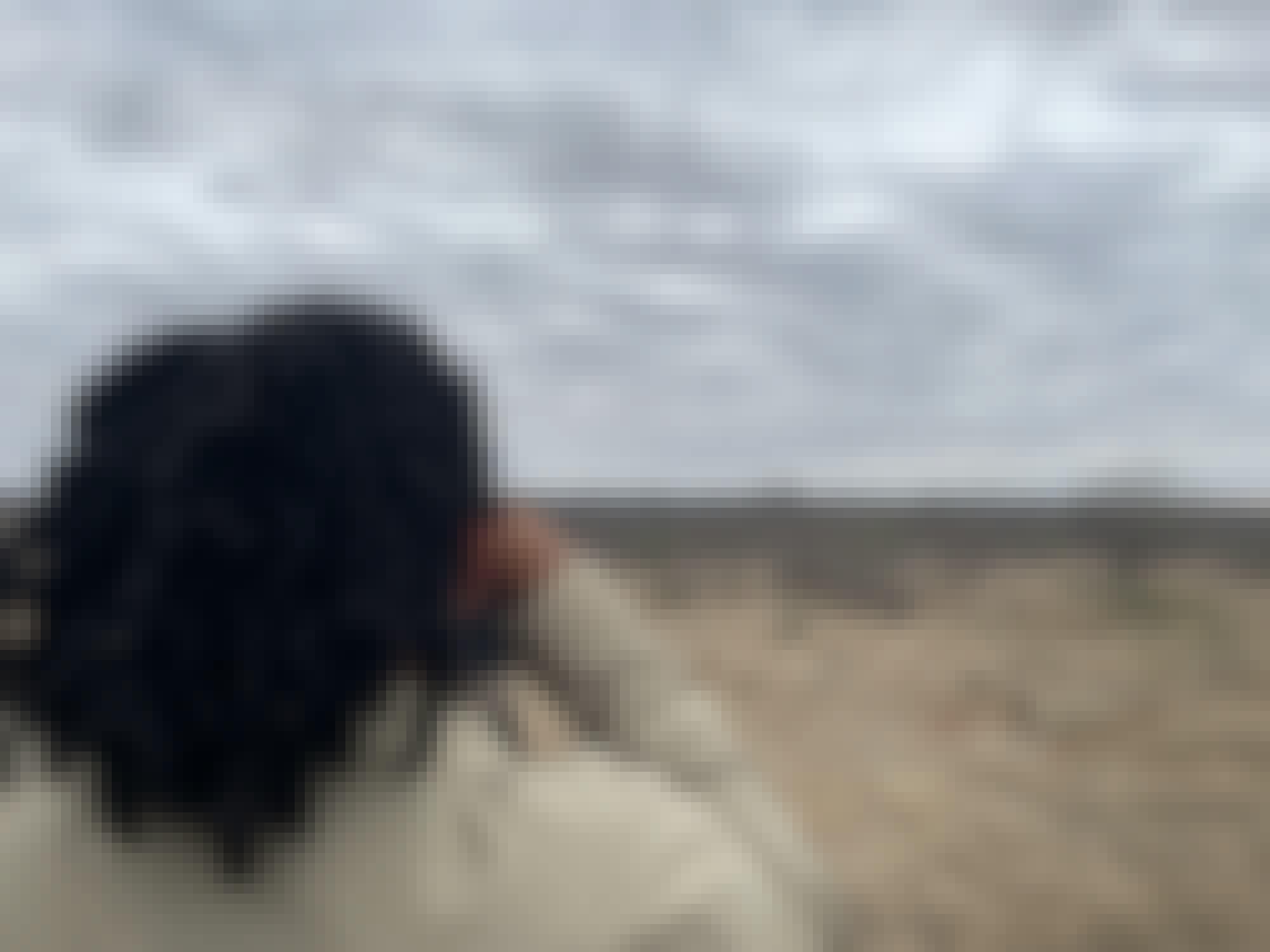 Liam Corcoran and Emily Munroe: viewing elephants in the distance from the vehicle