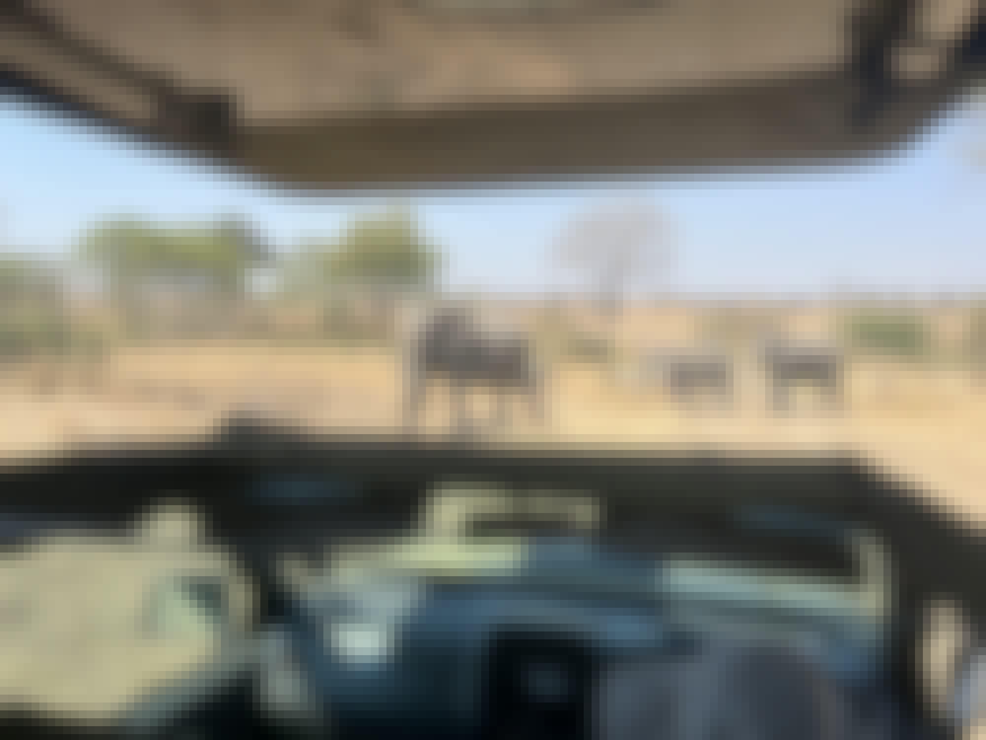 Liam Corcoran and Emily Munroe: viewing elephants from the vehicle