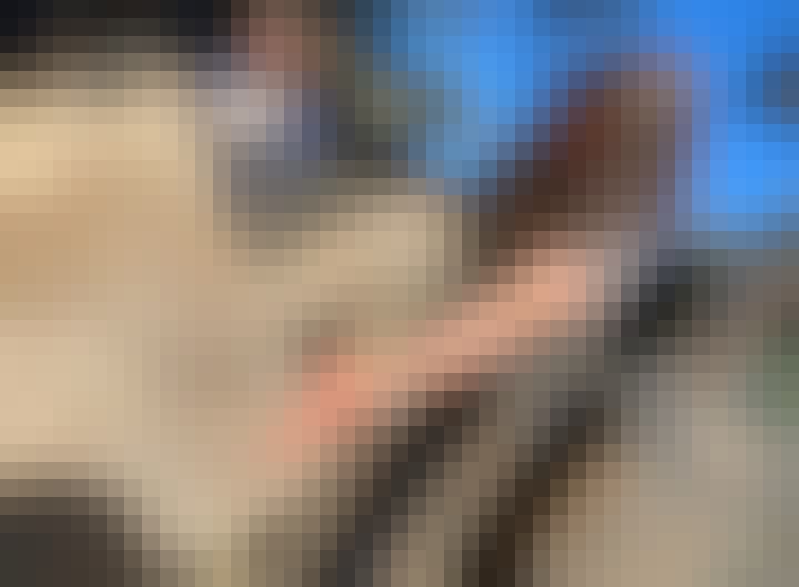 Charlie Krekels: profile photo