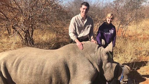Jesse Burgess: posing with a sedated rhino