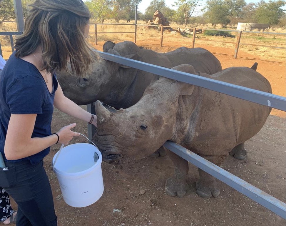Sophia Greisen: feeding the rhinos