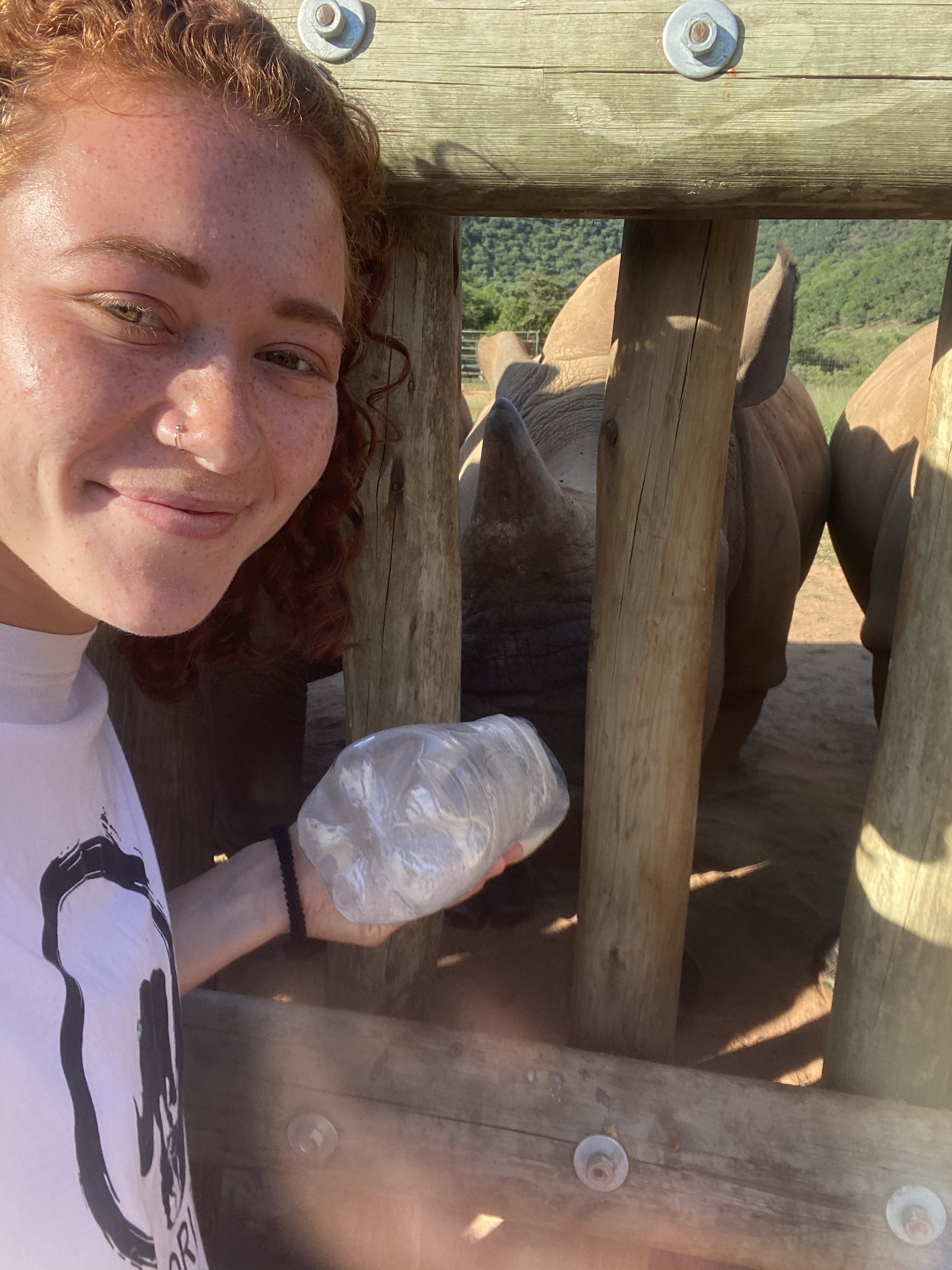 Sabrina Roach: bottle feeding a baby rhino