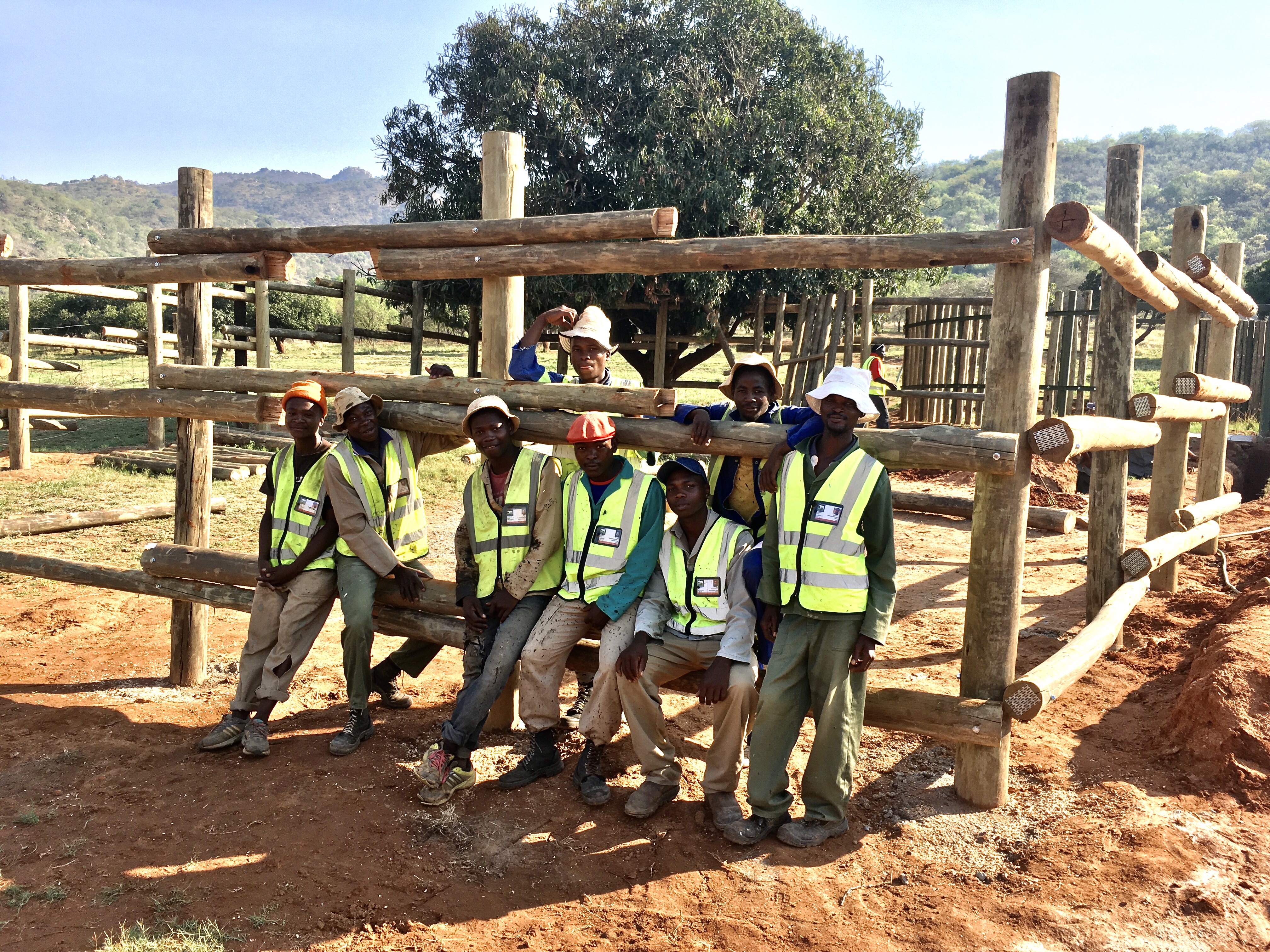 Maartje van Vlerken: group photo posing while building a structure