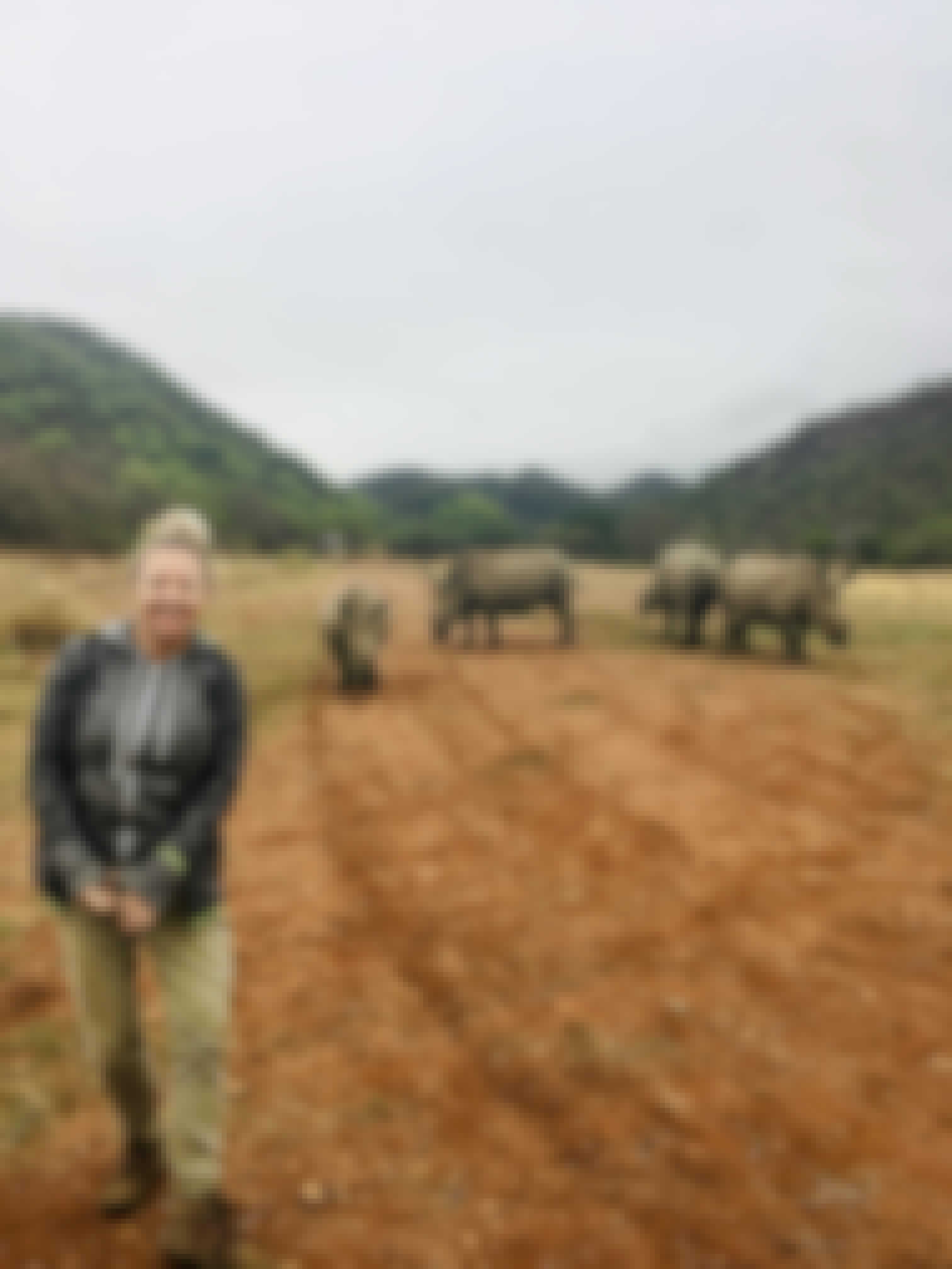 Maartje van Vlerken: posing with rhinos in the background