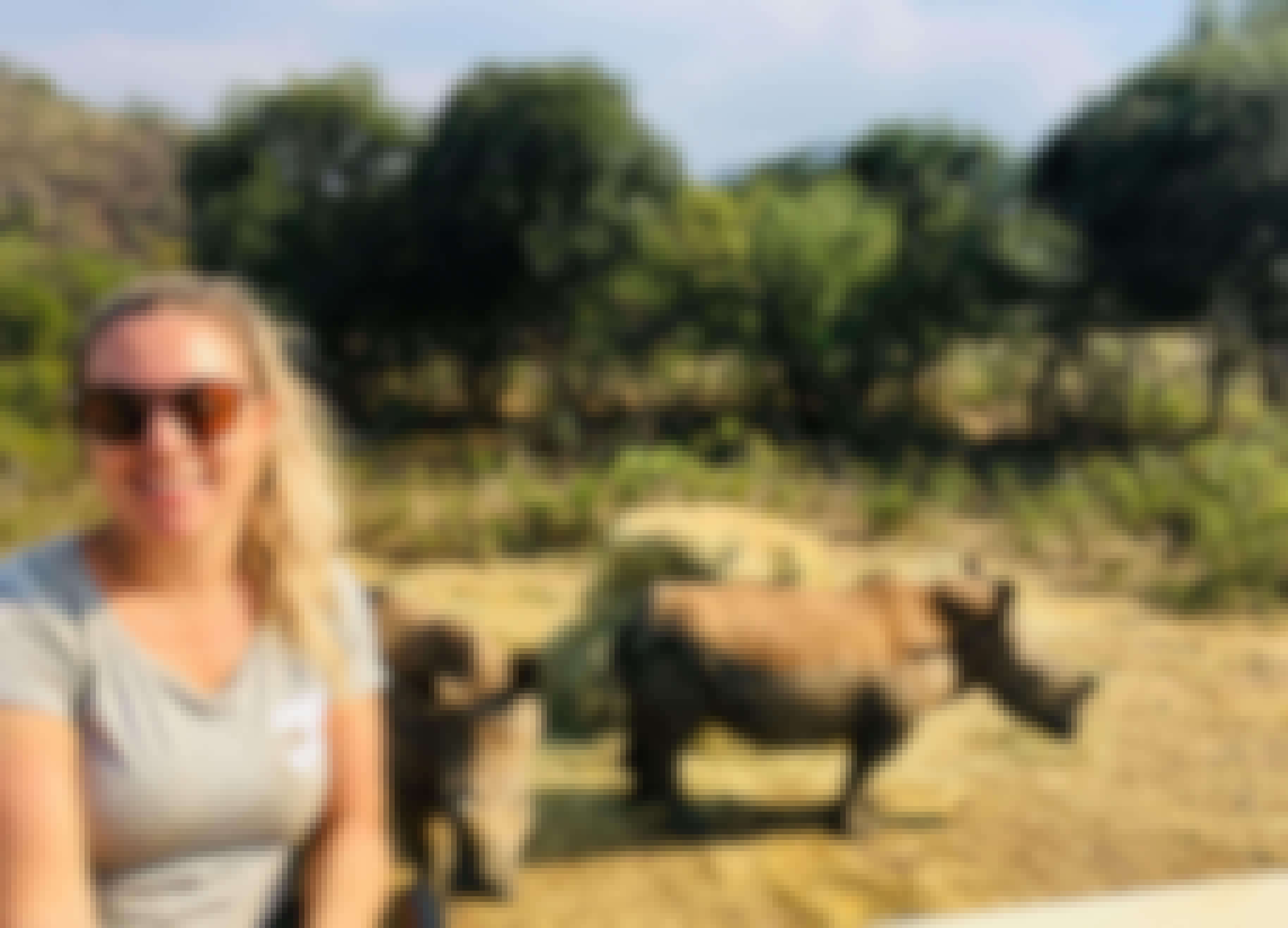 Maartje van Vlerken: posing with rhinos in the background