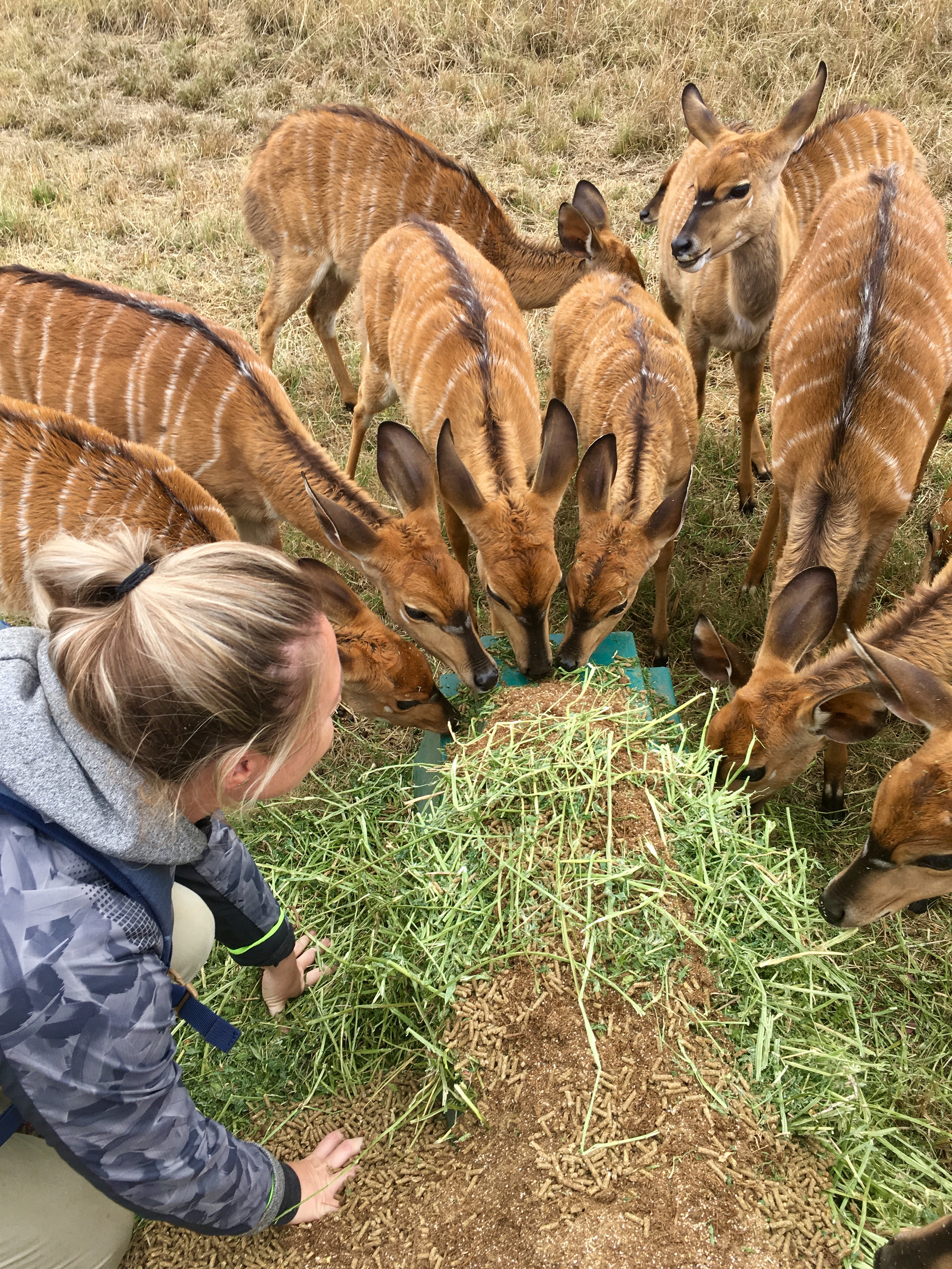 Maartje van Vlerken: feeding