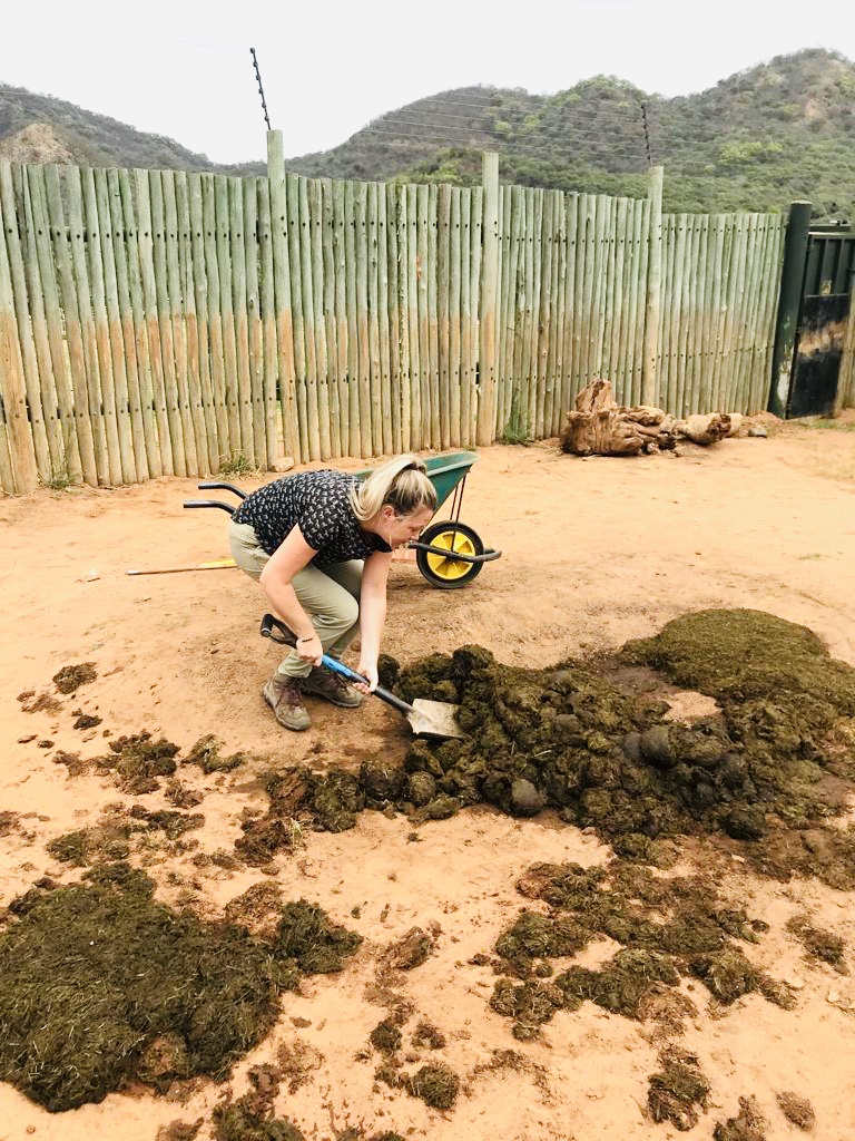 Maartje van Vlerken: shovelling poo at Care for Wild