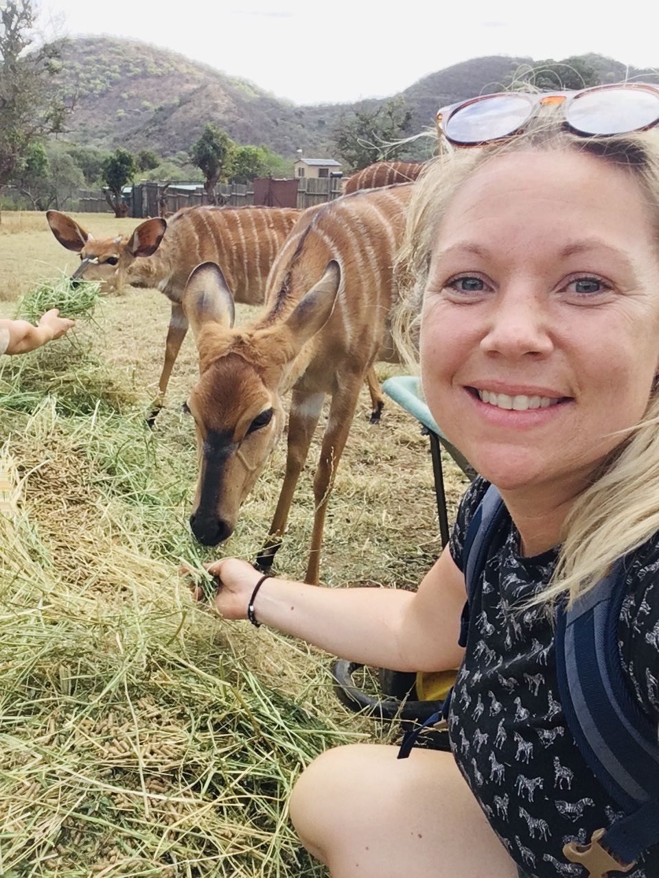 Maartje van Vlerken: feeding antelope