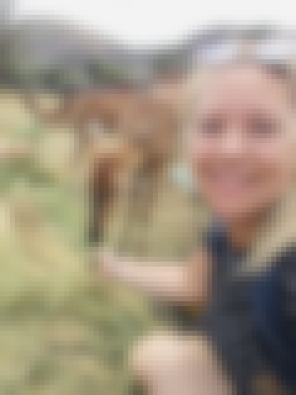 Maartje van Vlerken: feeding antelope