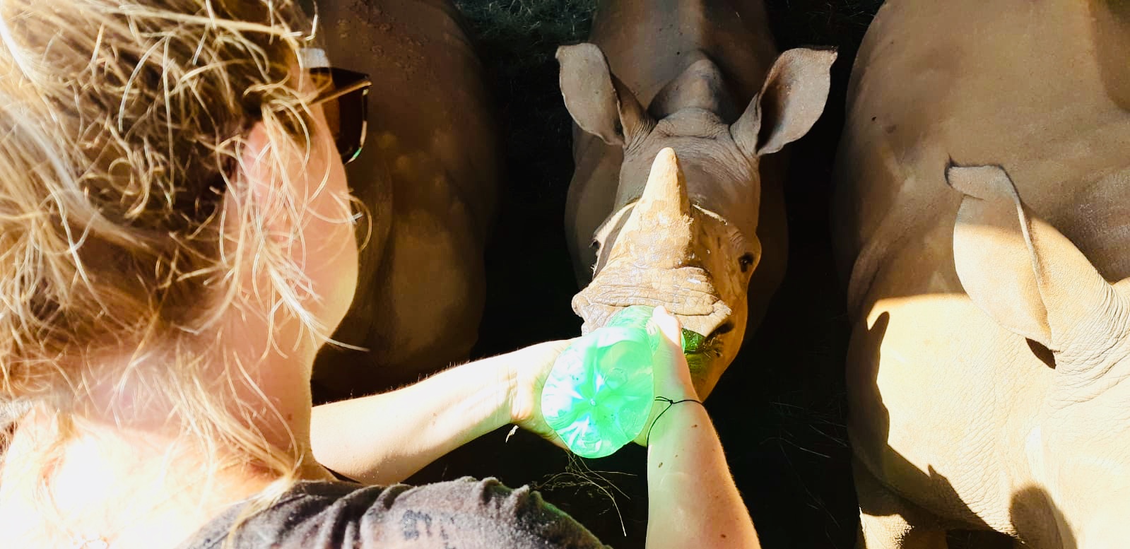 Maartje van Vlerken: bottle feeding a baby rhino