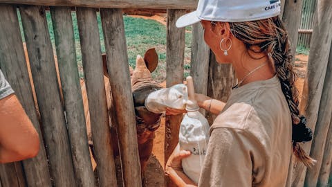 Magdalena Edwards: bottle feeding a baby rhino