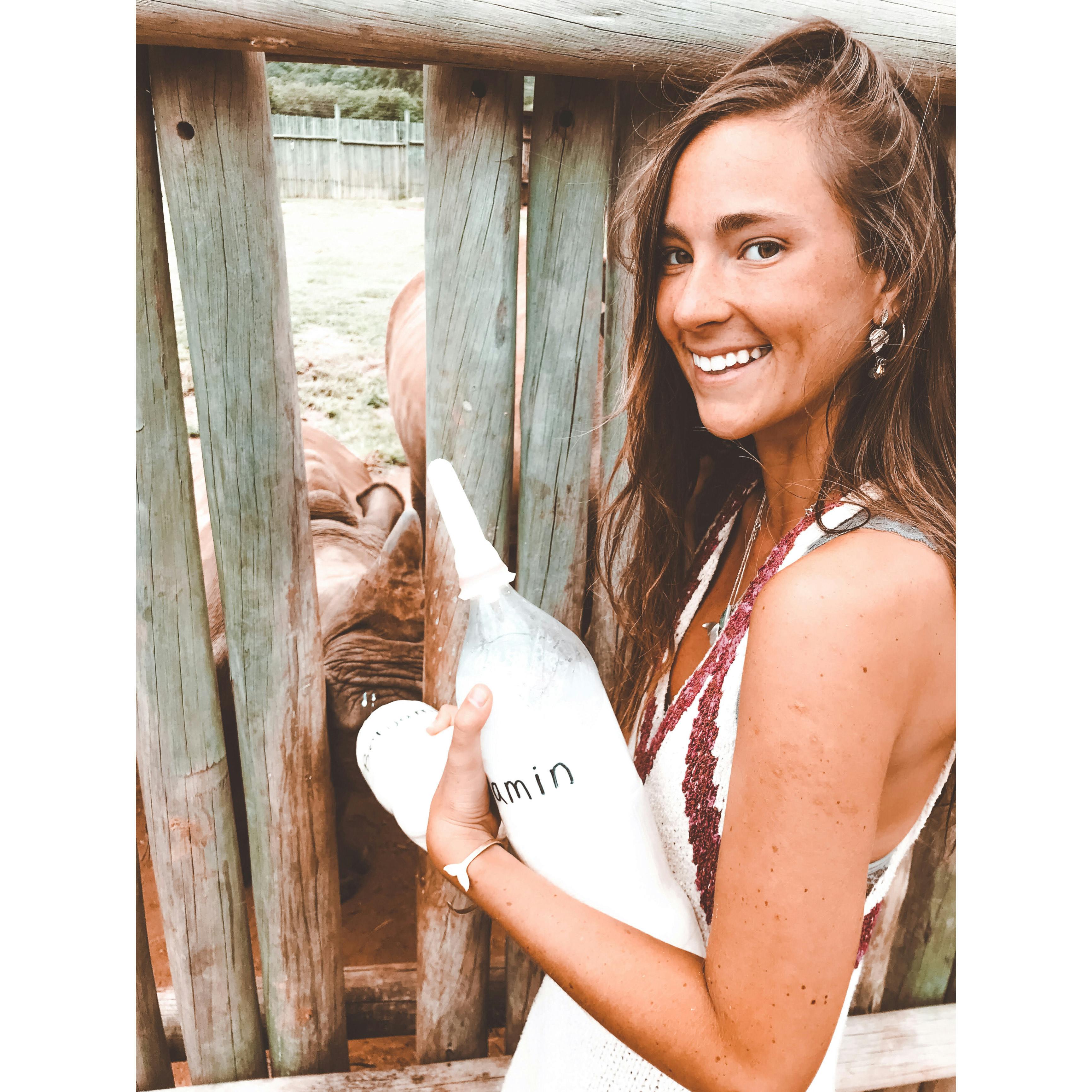 Magdalena Edwards: bottle feeding rhino