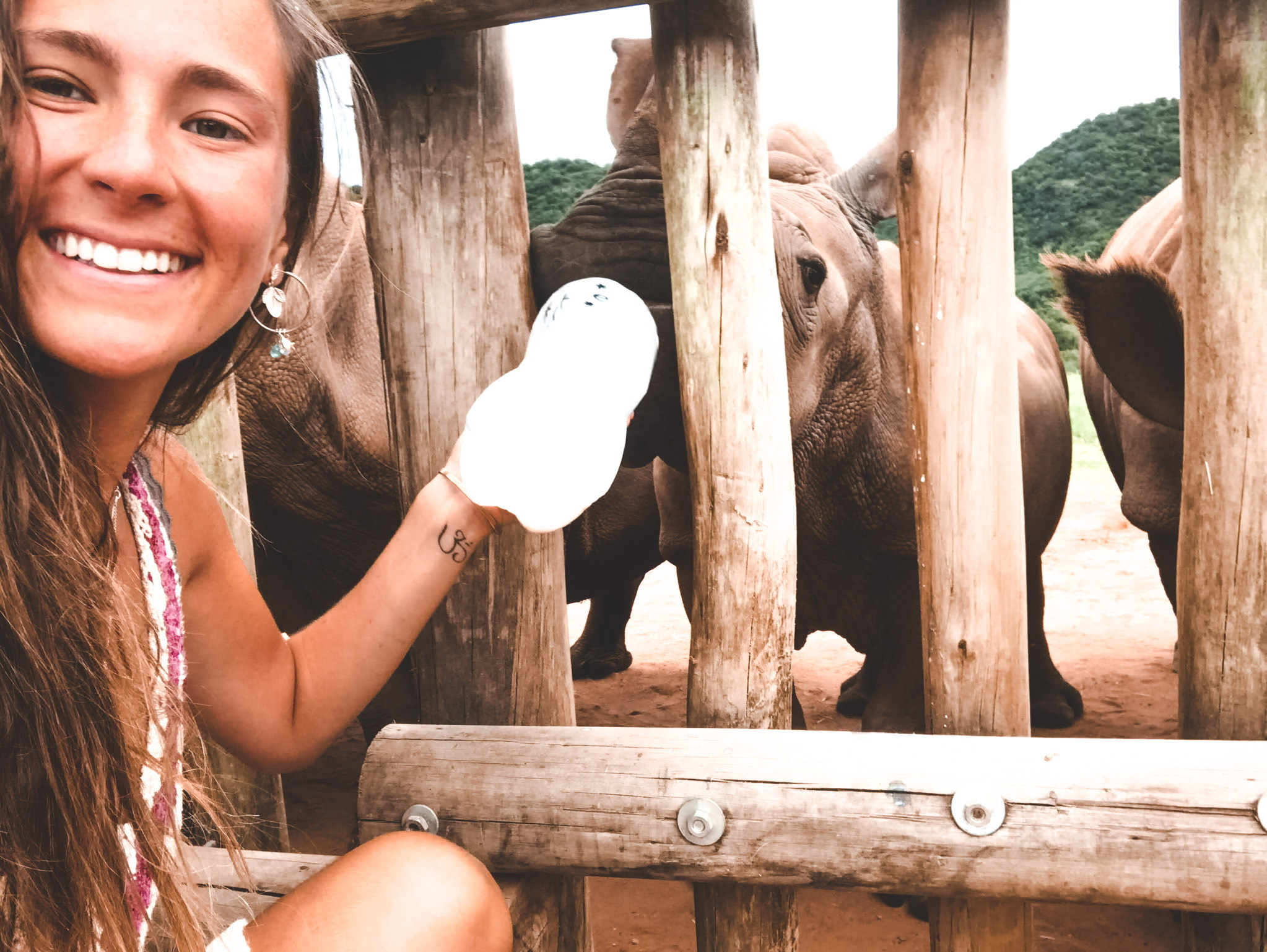 Magdalena Edwards: bottle feeding rhino