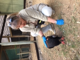 Vesna Turak: profile photo