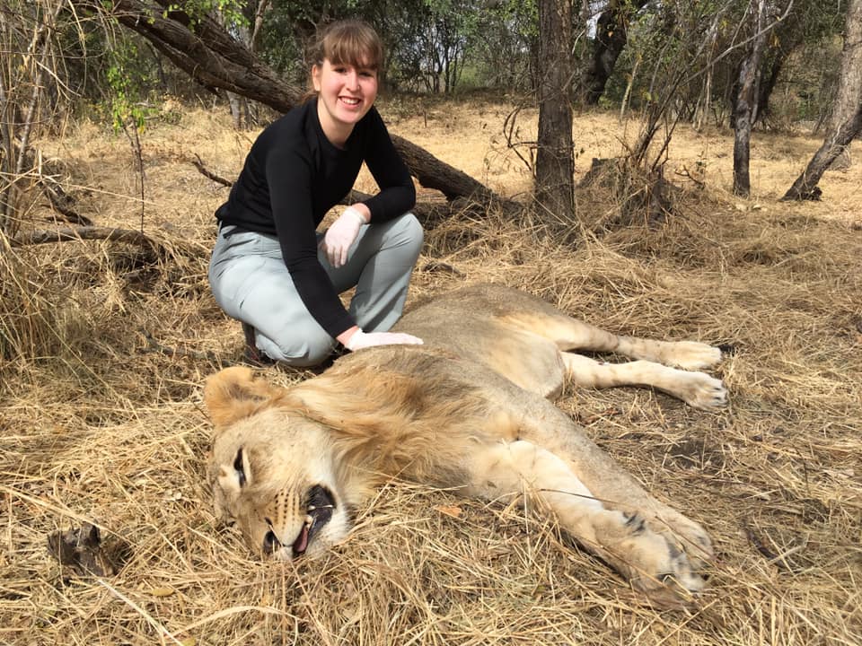 Keavy Garland: posing with a sedated lion