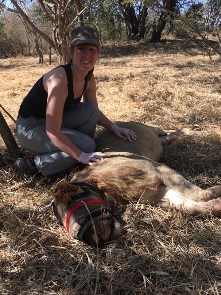 Keavy Garland: posing with sedated liion
