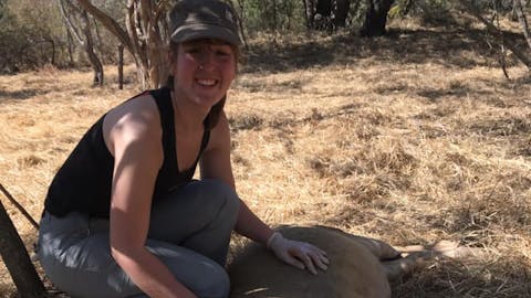 Keavy Garland: posing with sedated liion