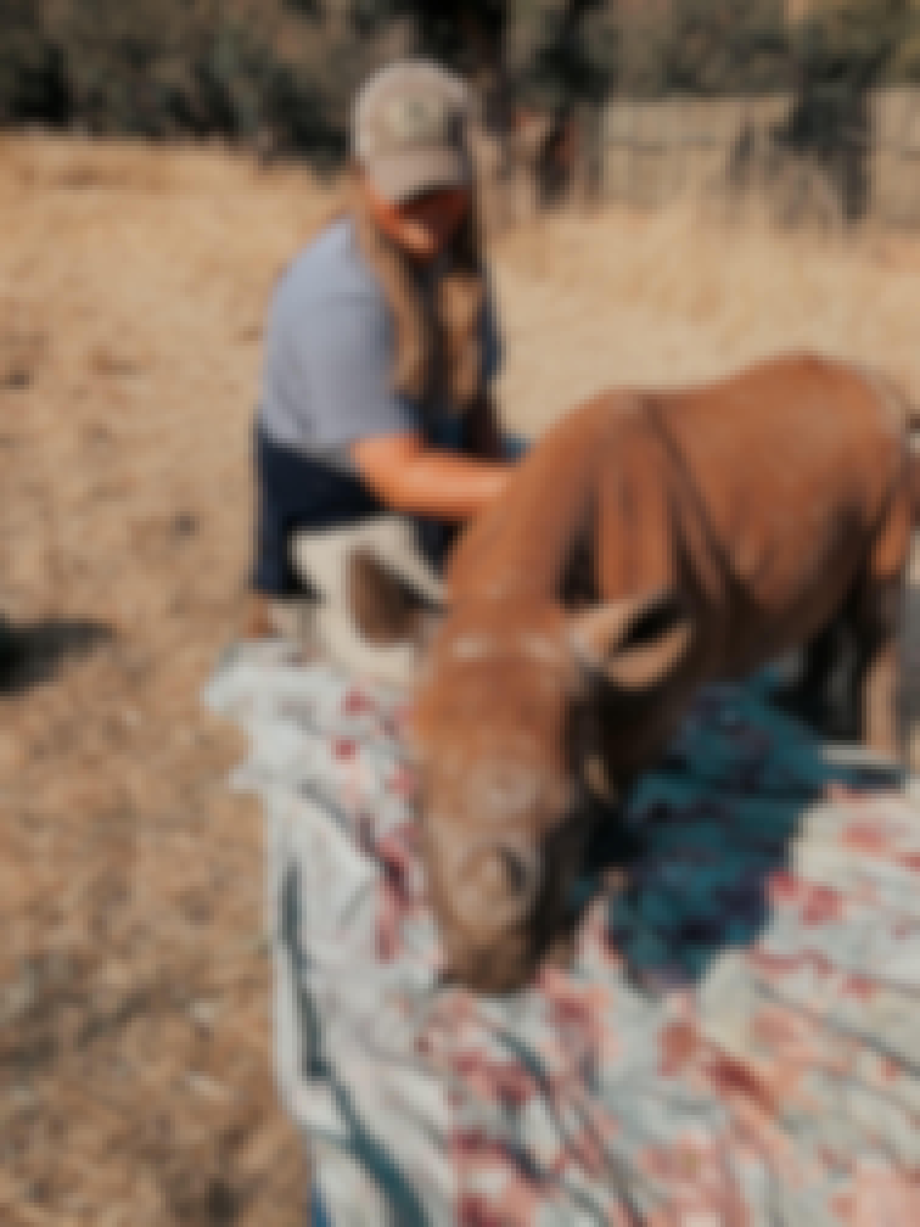Lillie Homberg: with a baby rhino
