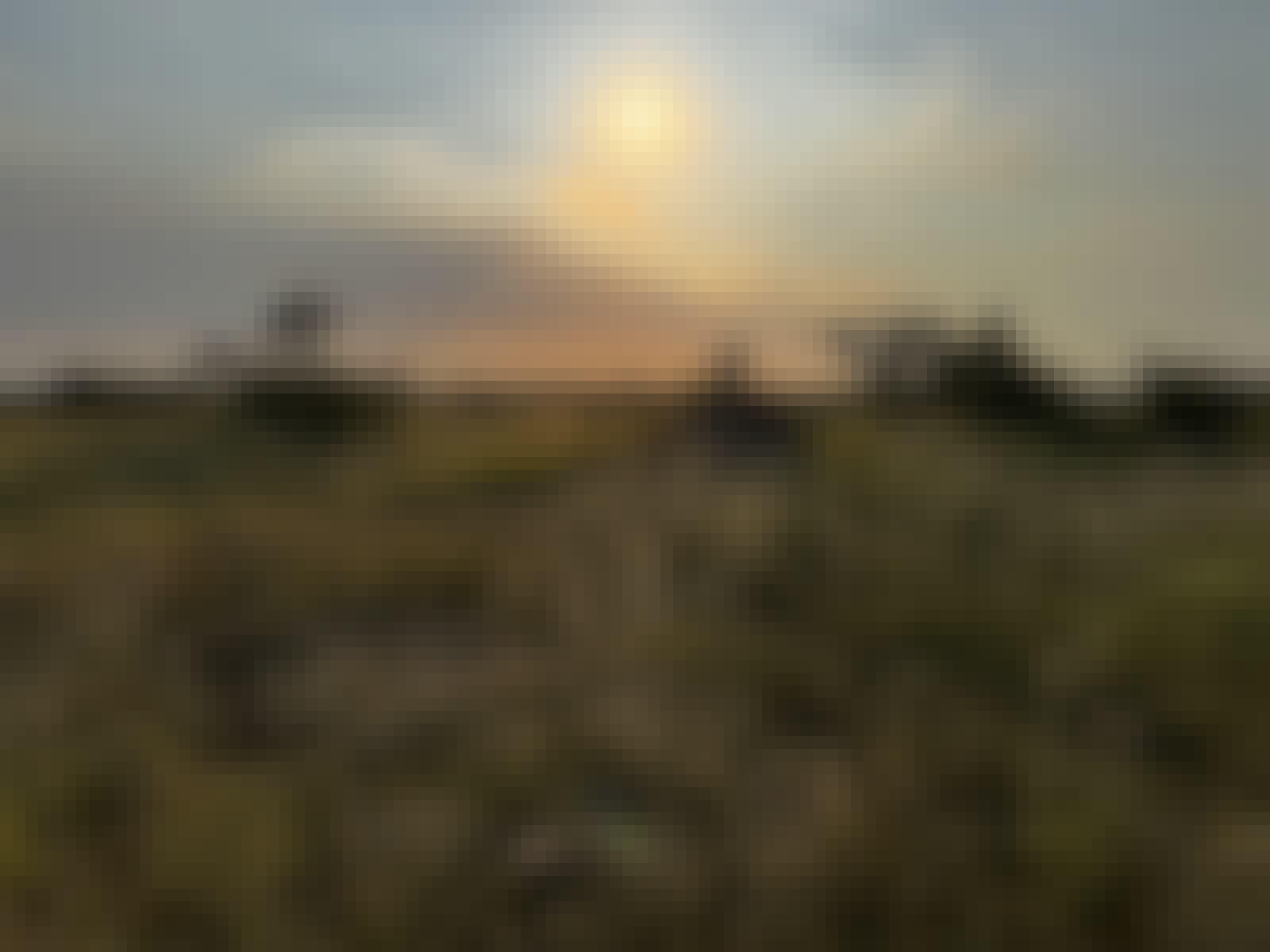 Carrie Roussin: sun setting over the Kruger National Park