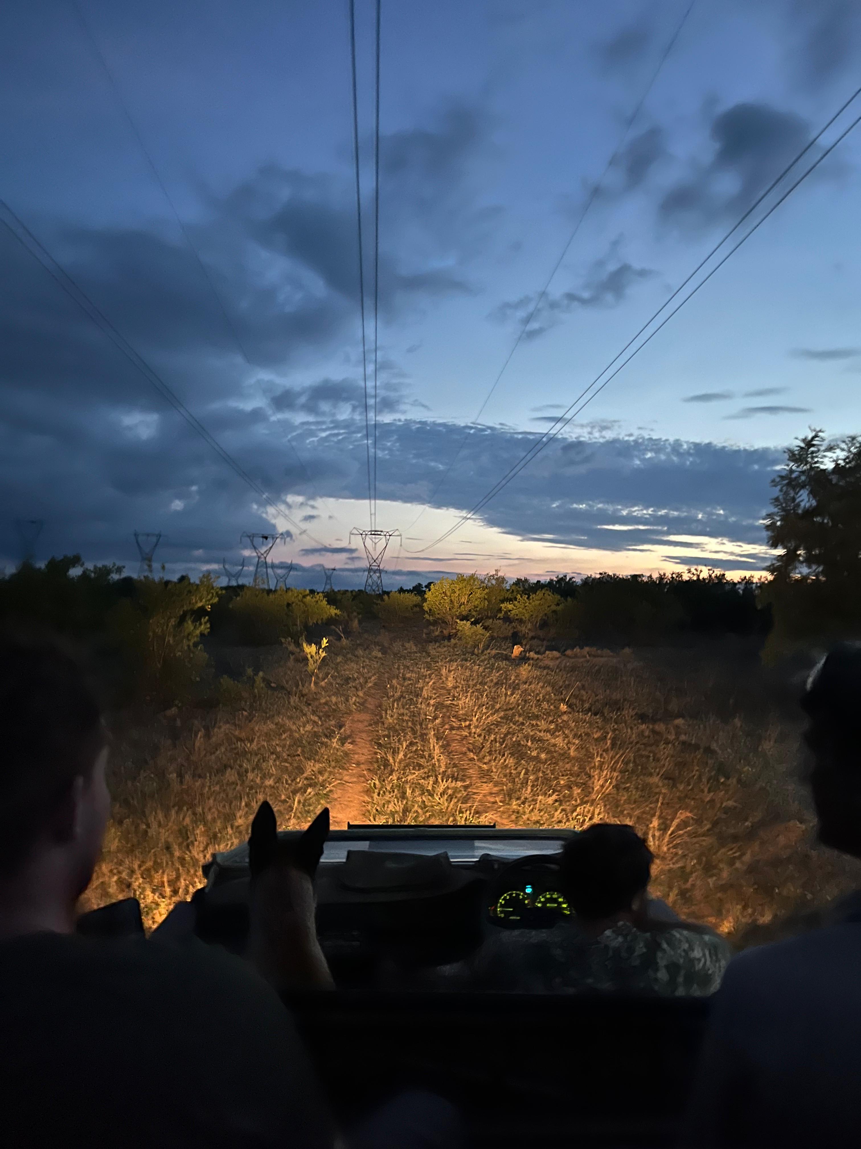 João de Oliveira: night drive in the Kruger National Park 