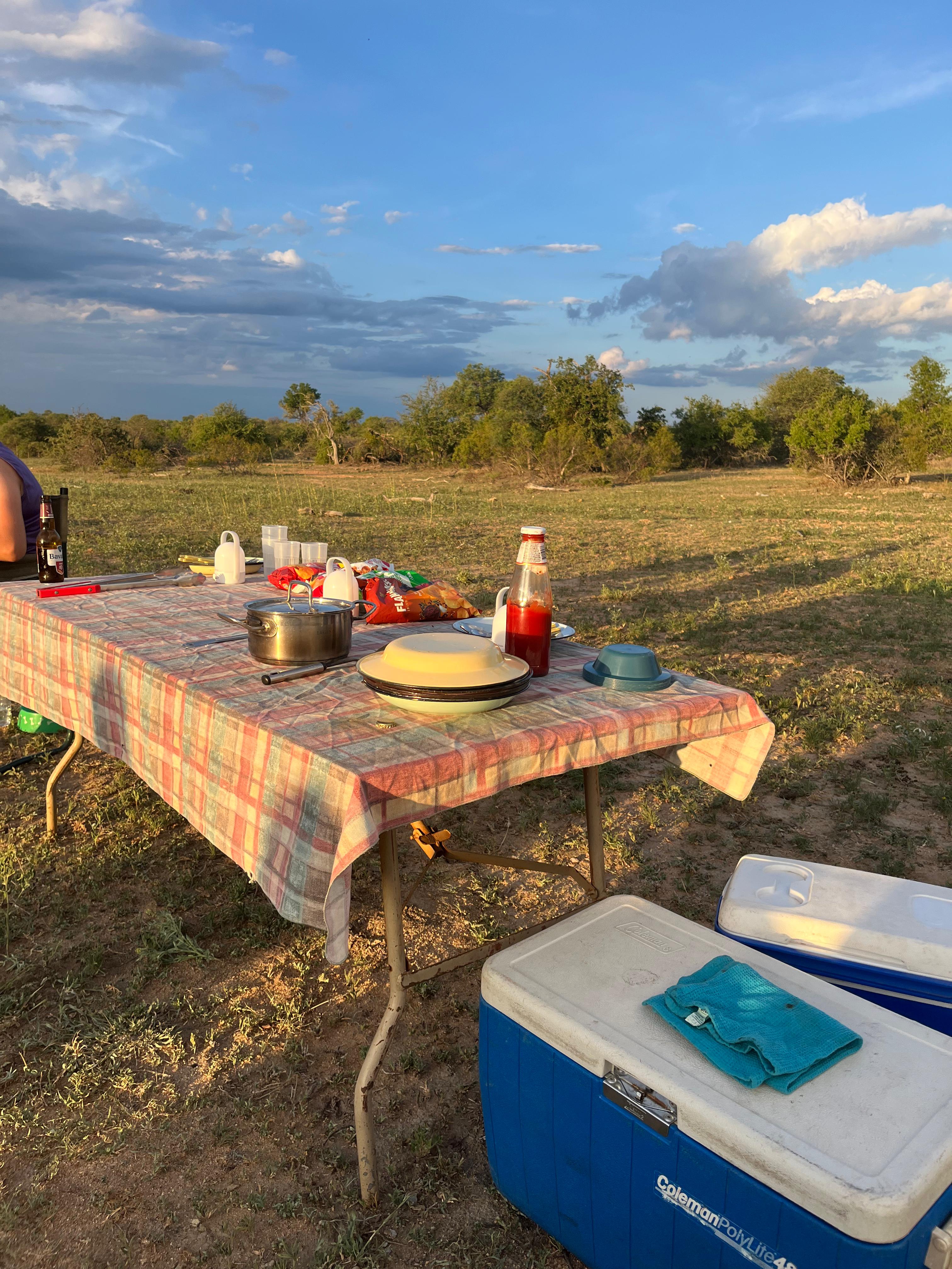 João de Oliveira: picnic in the bush
