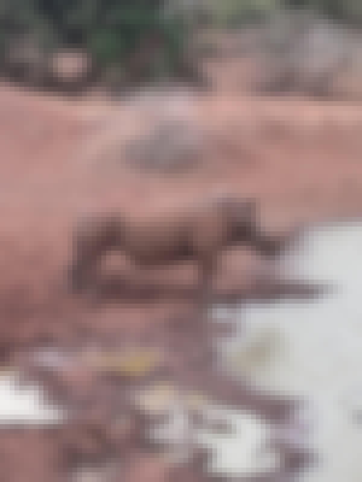 Adam Peerally: a rhino by the water