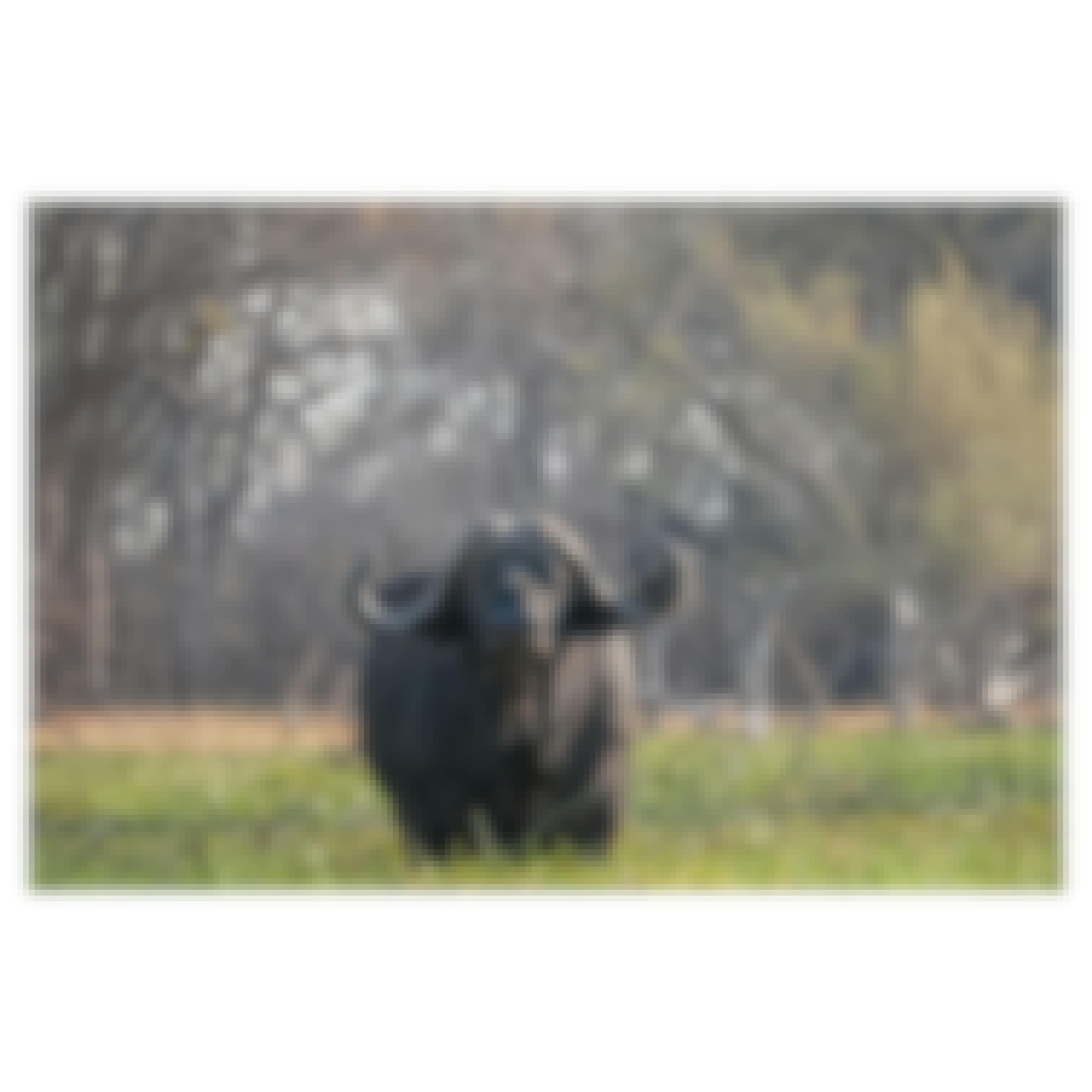 Sam Johnston: Water Buffalo in the Okavango