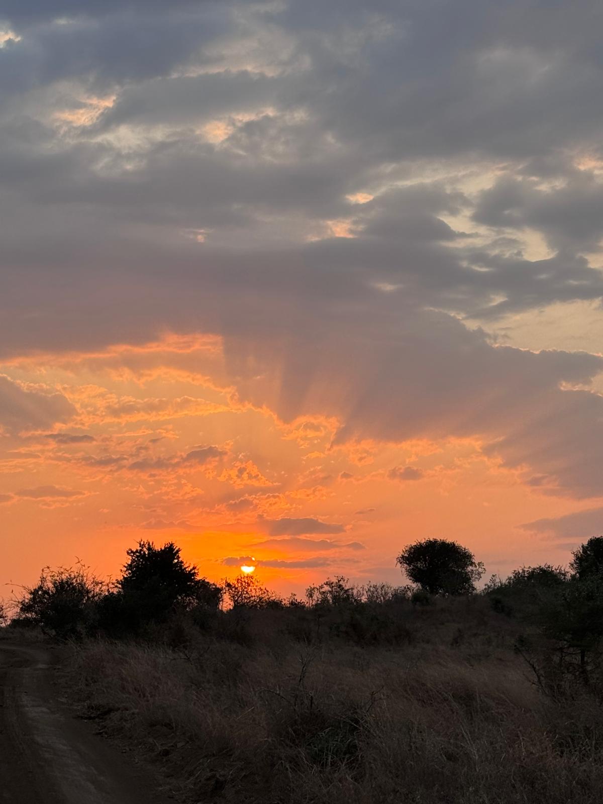 Adam Peerally: a beautiful sunset over the bush