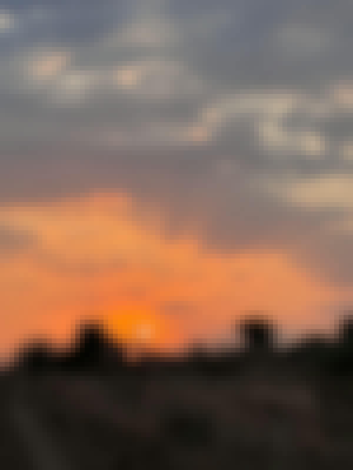 Adam Peerally: a beautiful sunset over the bush