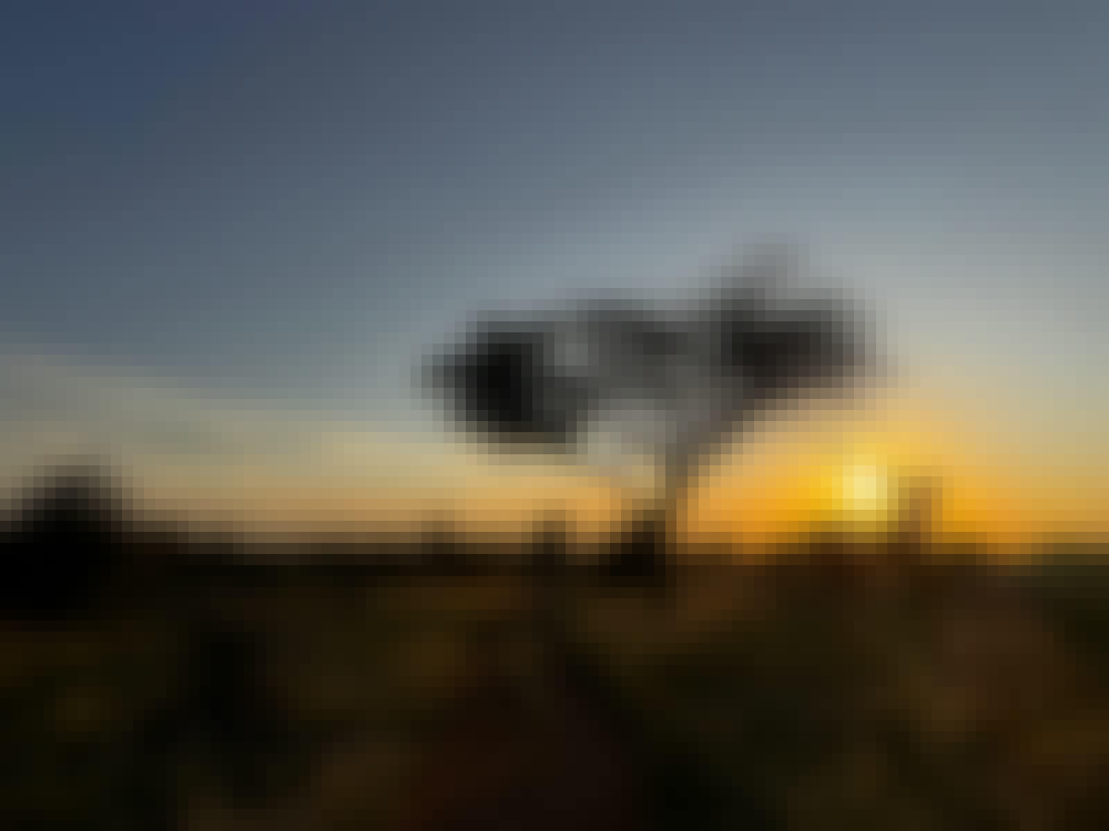 Carrie Roussin: sunset in the Kruger National Park