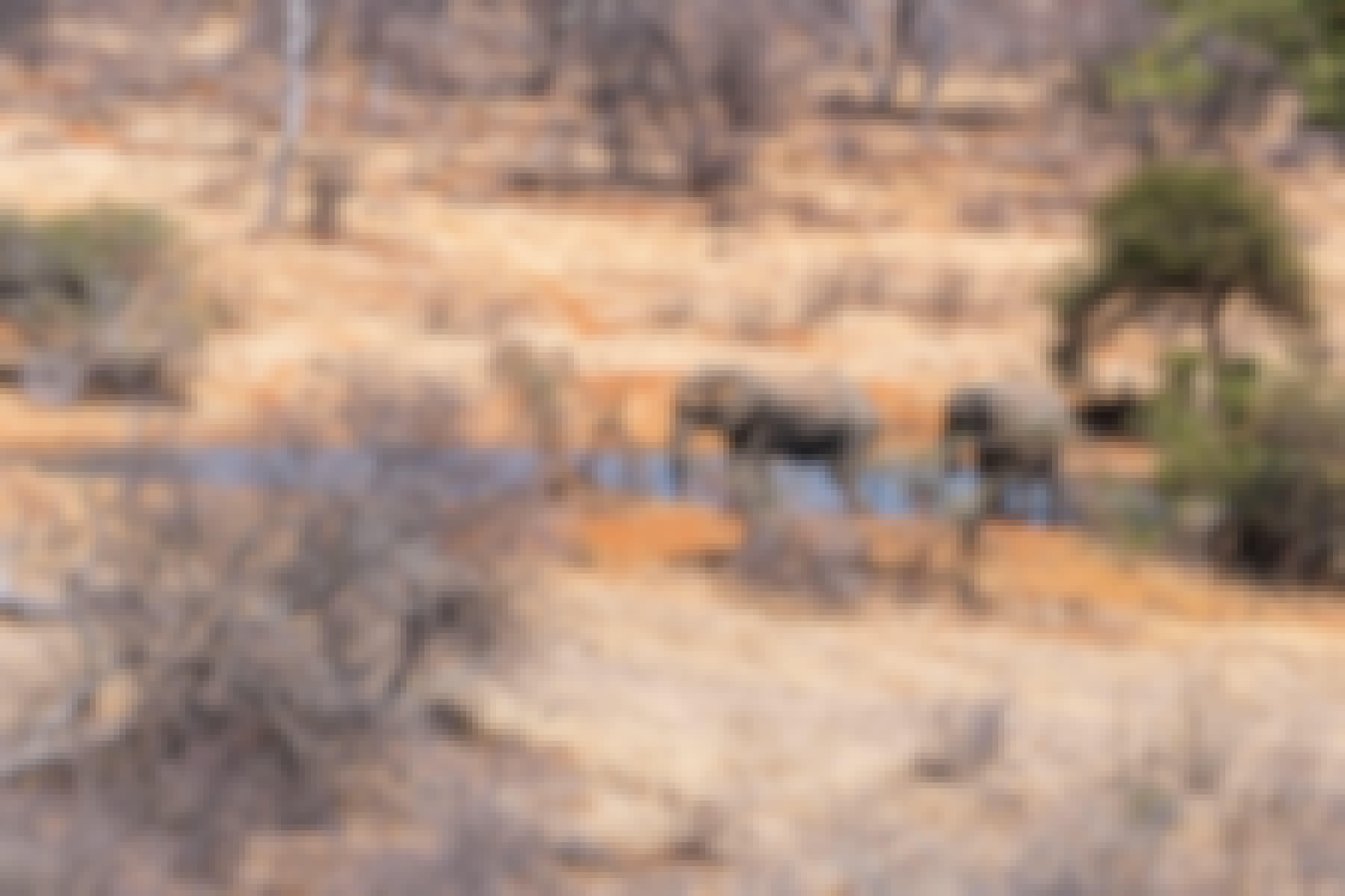 Patrick Brandon: two elephants by a watering hole 