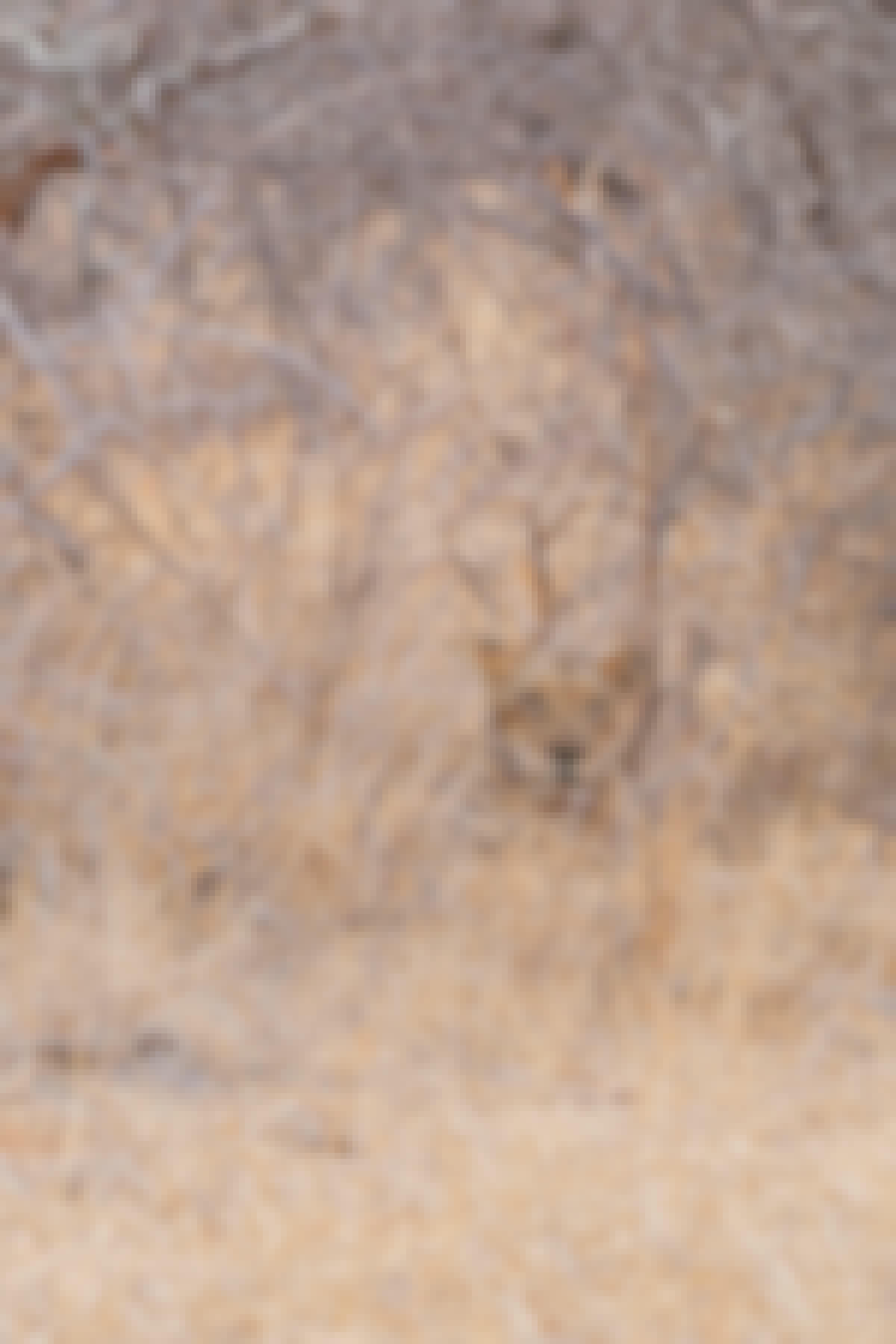 Patrick Brandon: lioness resting up in the long grass