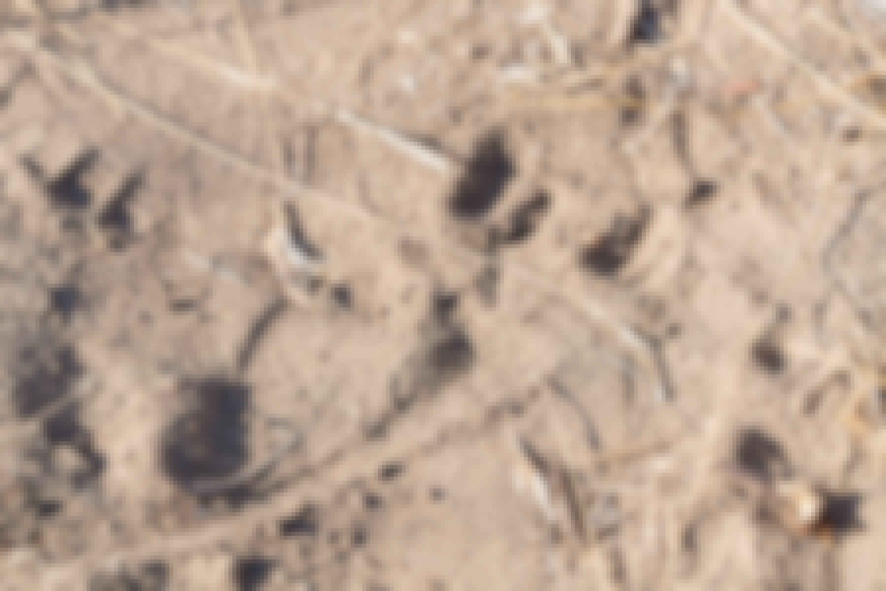 Patrick Brandon: animal tracks in the sand