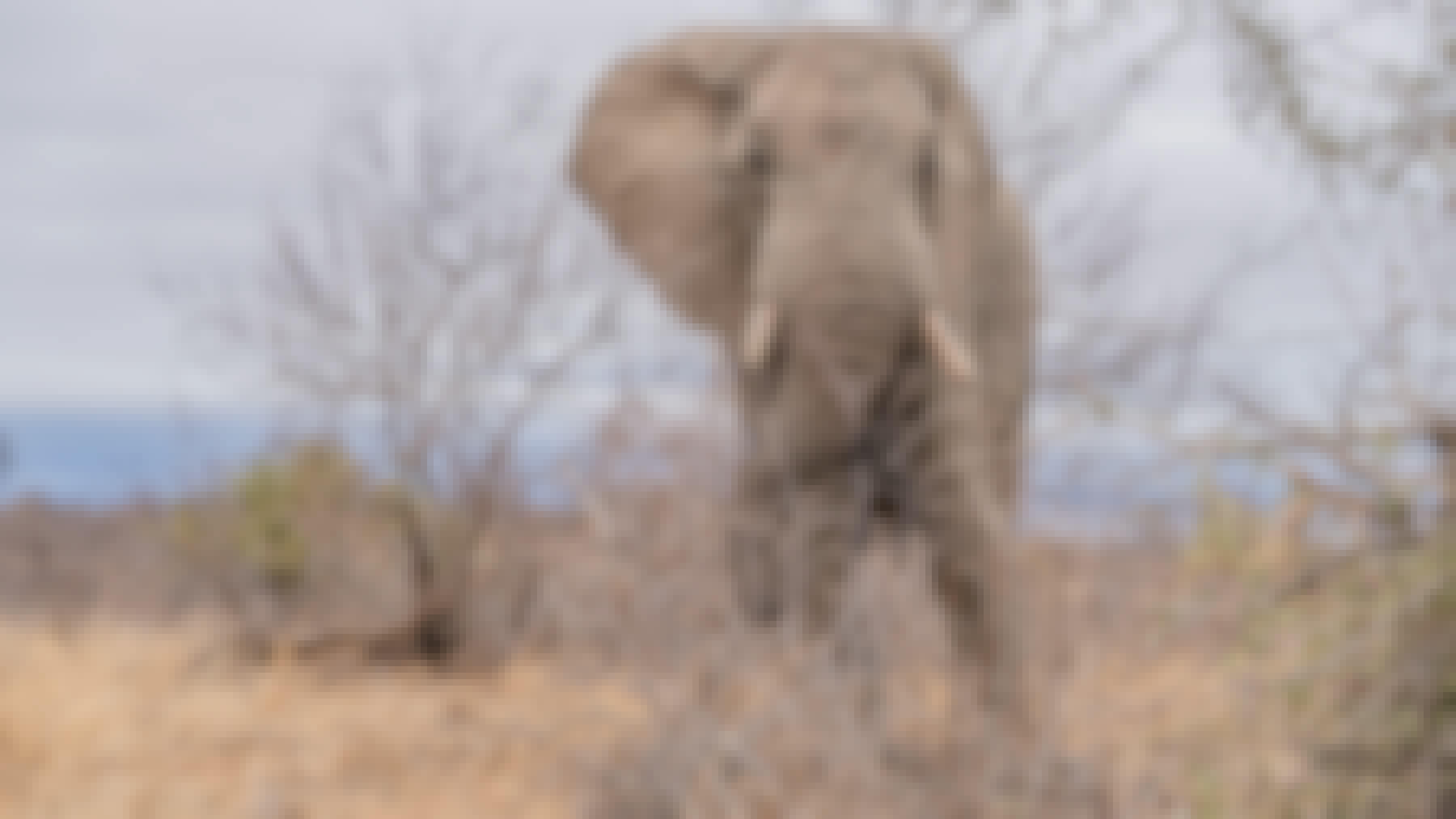 Patrick Brandon: elephant close up in the bush