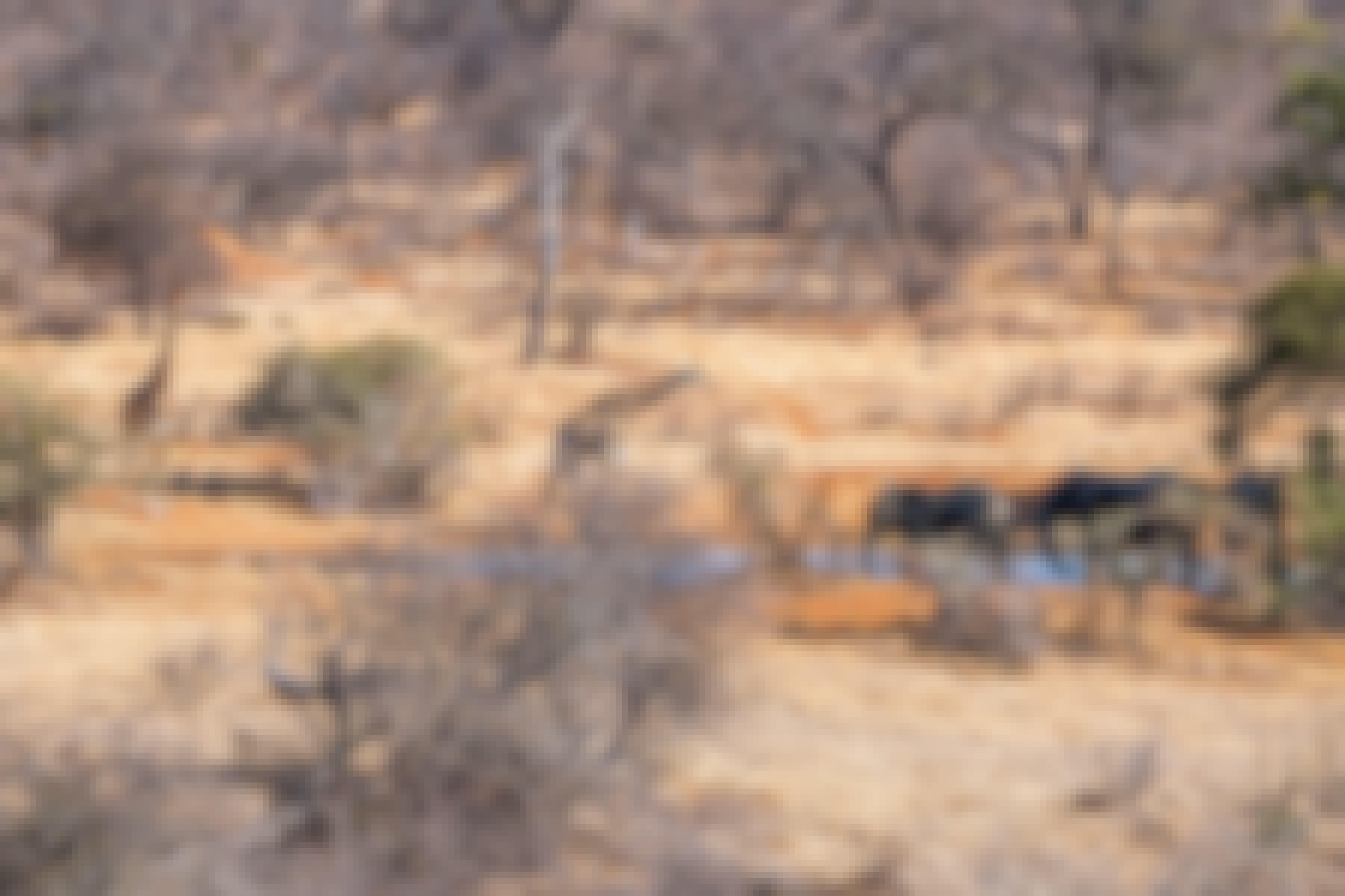 Patrick Brandon: giraffes and elephants congregating around a waterhole in the bush 