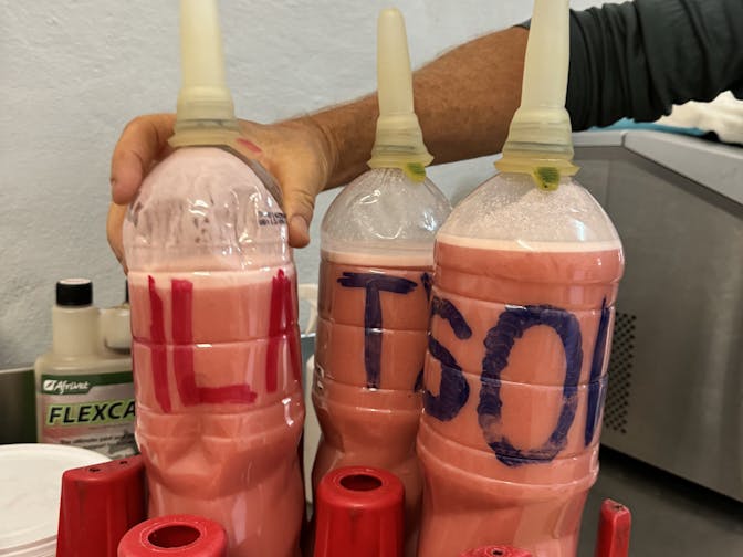 Amanda Thompson: rhino calf milk that has been prepared